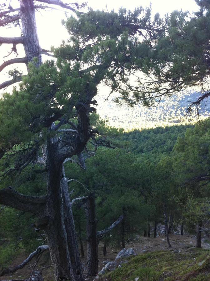 Casas Cueva El Mirador De Orceゲストハウス エクステリア 写真